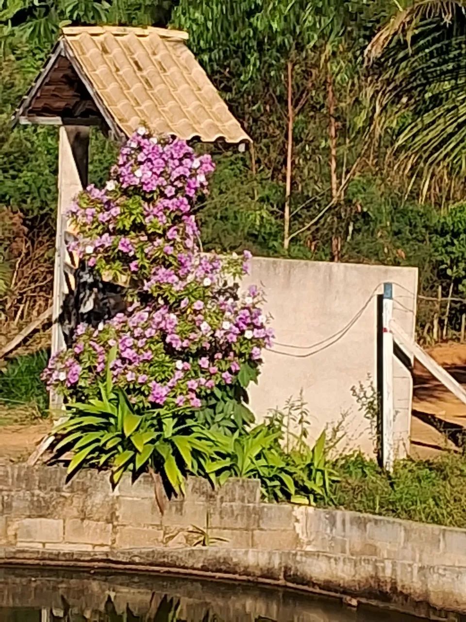Aluguel casa no sitio.santa teresa.temporada ou fins de semana. 