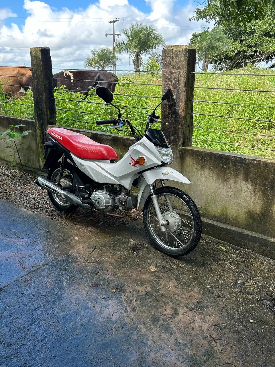 Vende-se  - Foto 2