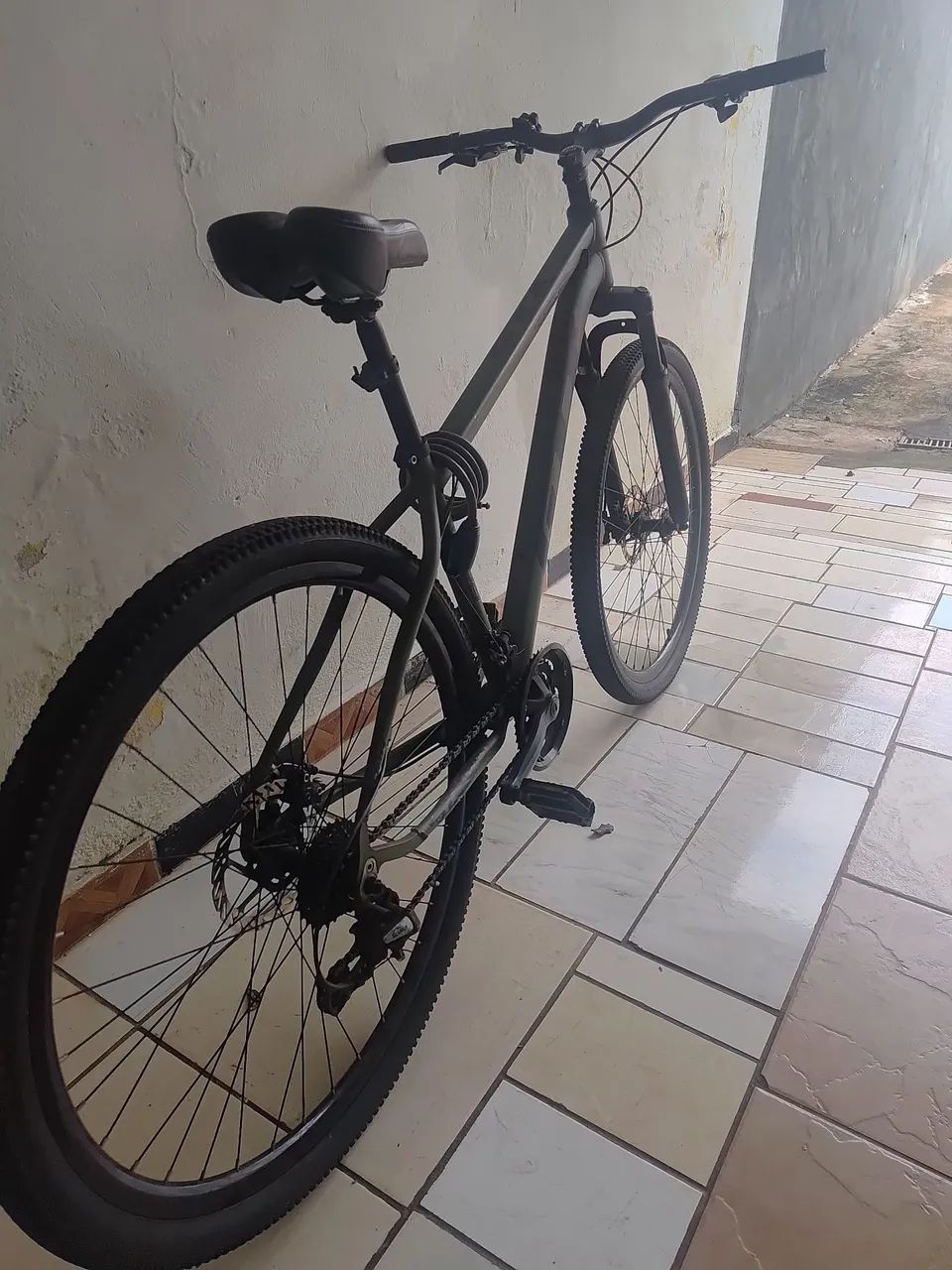 Bicicleta Adulto 