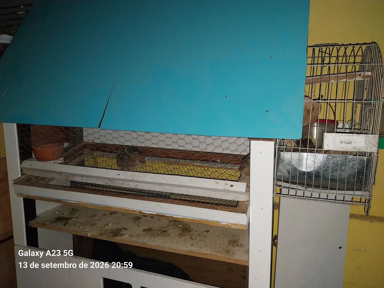 Gaiola  - Foto 4