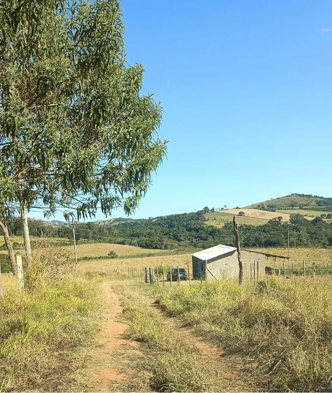 Chácara em Ouro fino MG  - Foto 5