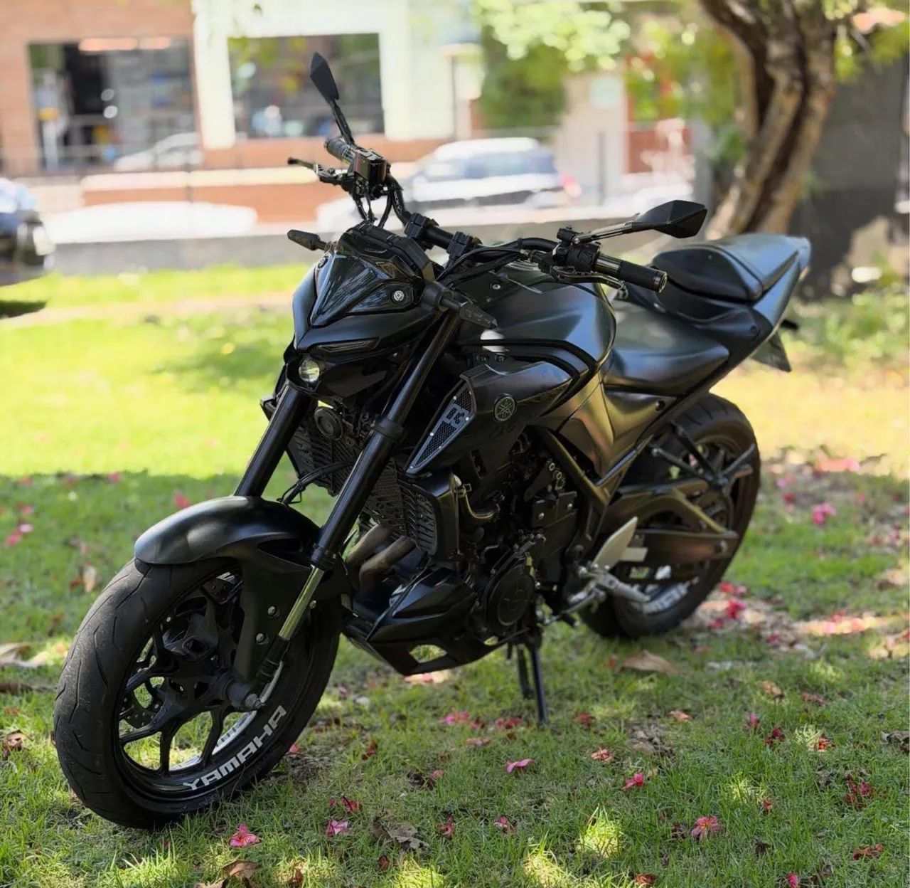 MT 03 - 2019 - Foto 3