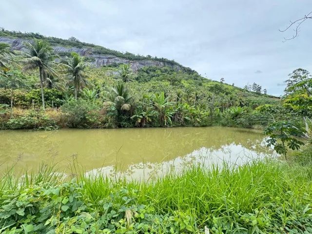 TERRENO 03 IRMÃOS -ARACRUZ ES. - Foto 5