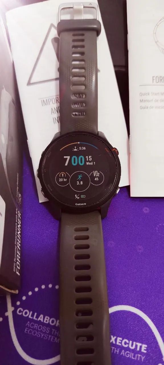 Garmin 255