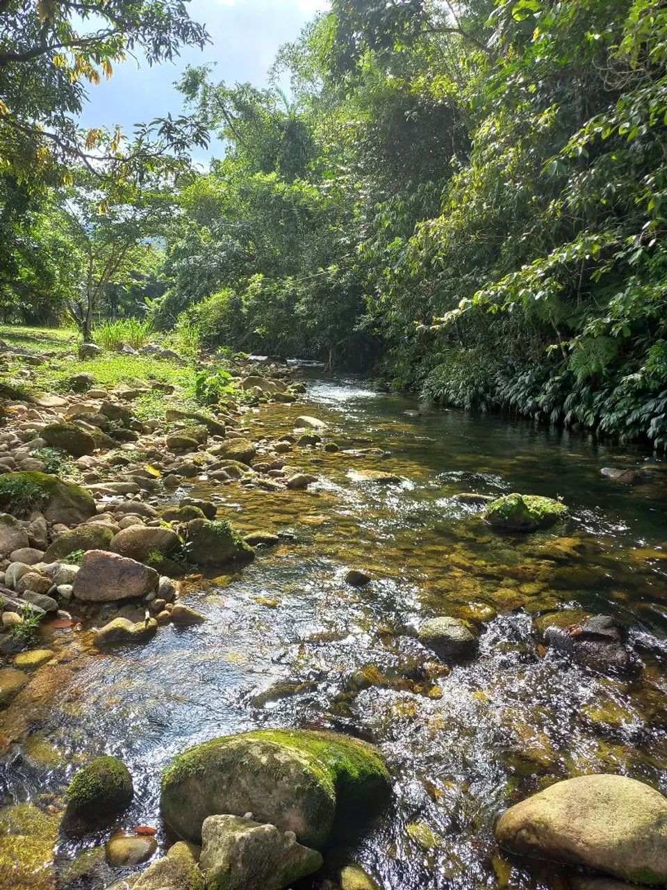 Sitio em Peruibe 450 mil reais. - Foto 3