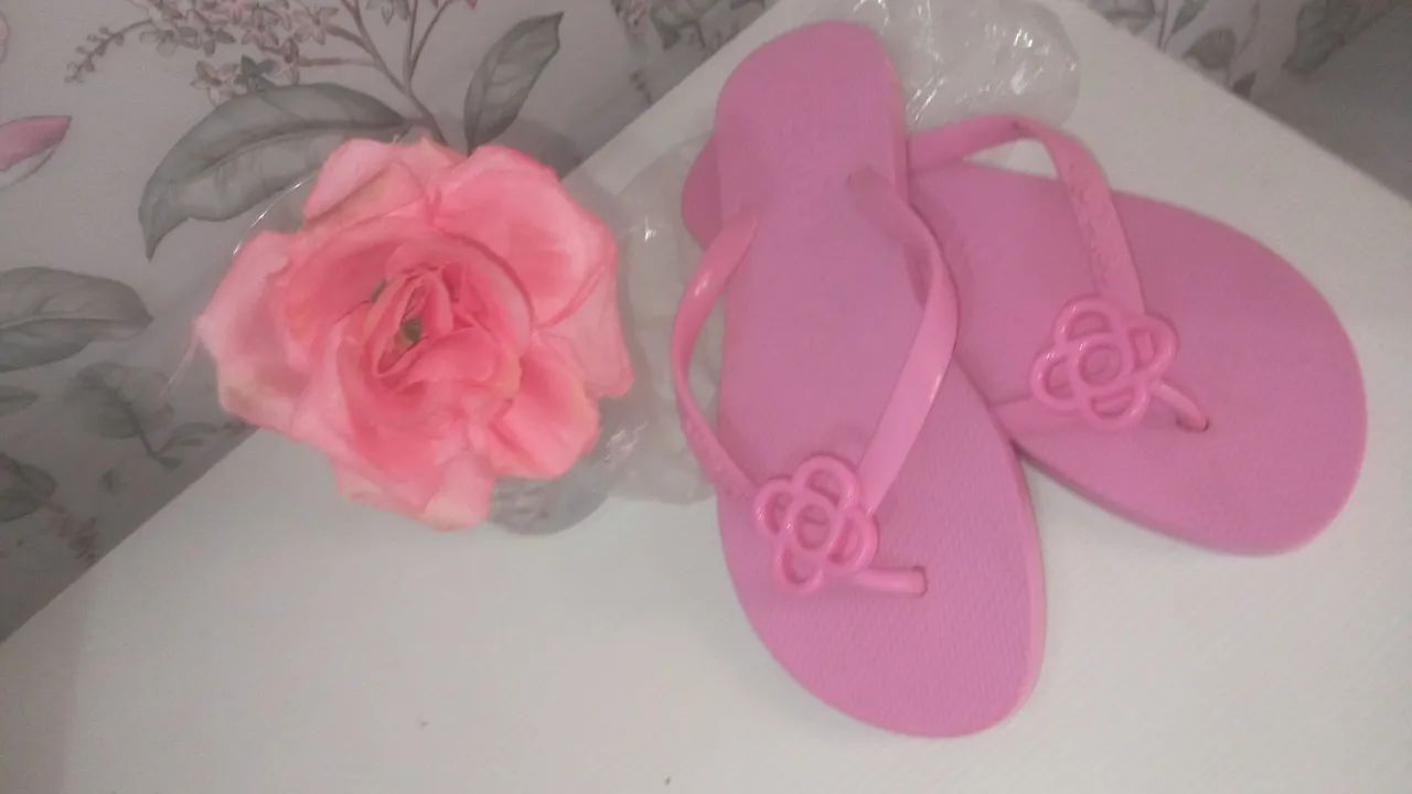 Petie jole nova