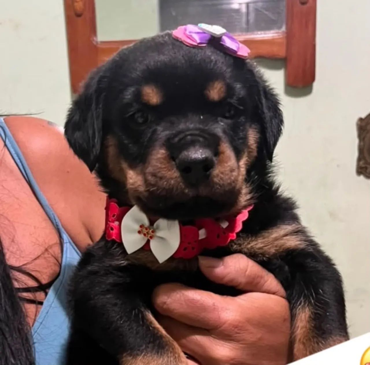Princesa  - Foto 2