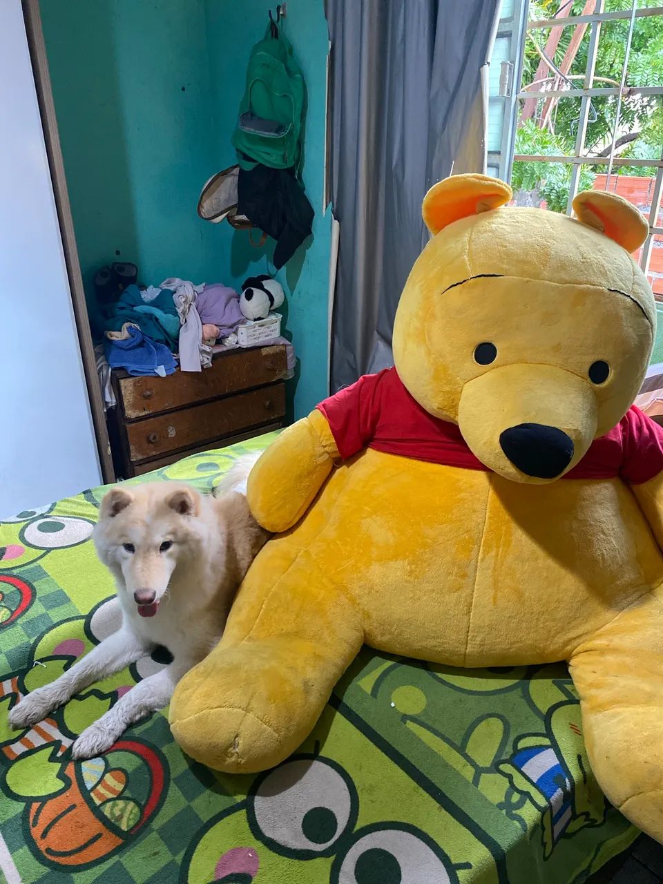 Urso extra grande  - Foto 2