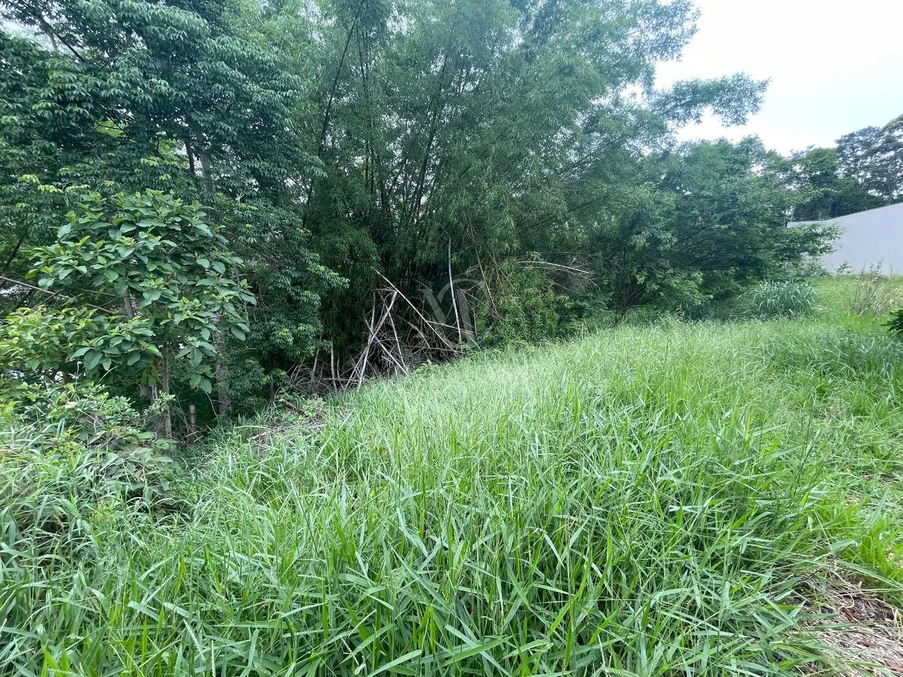 terreno - Parque do Imperio - Juiz de Fora - Foto 2