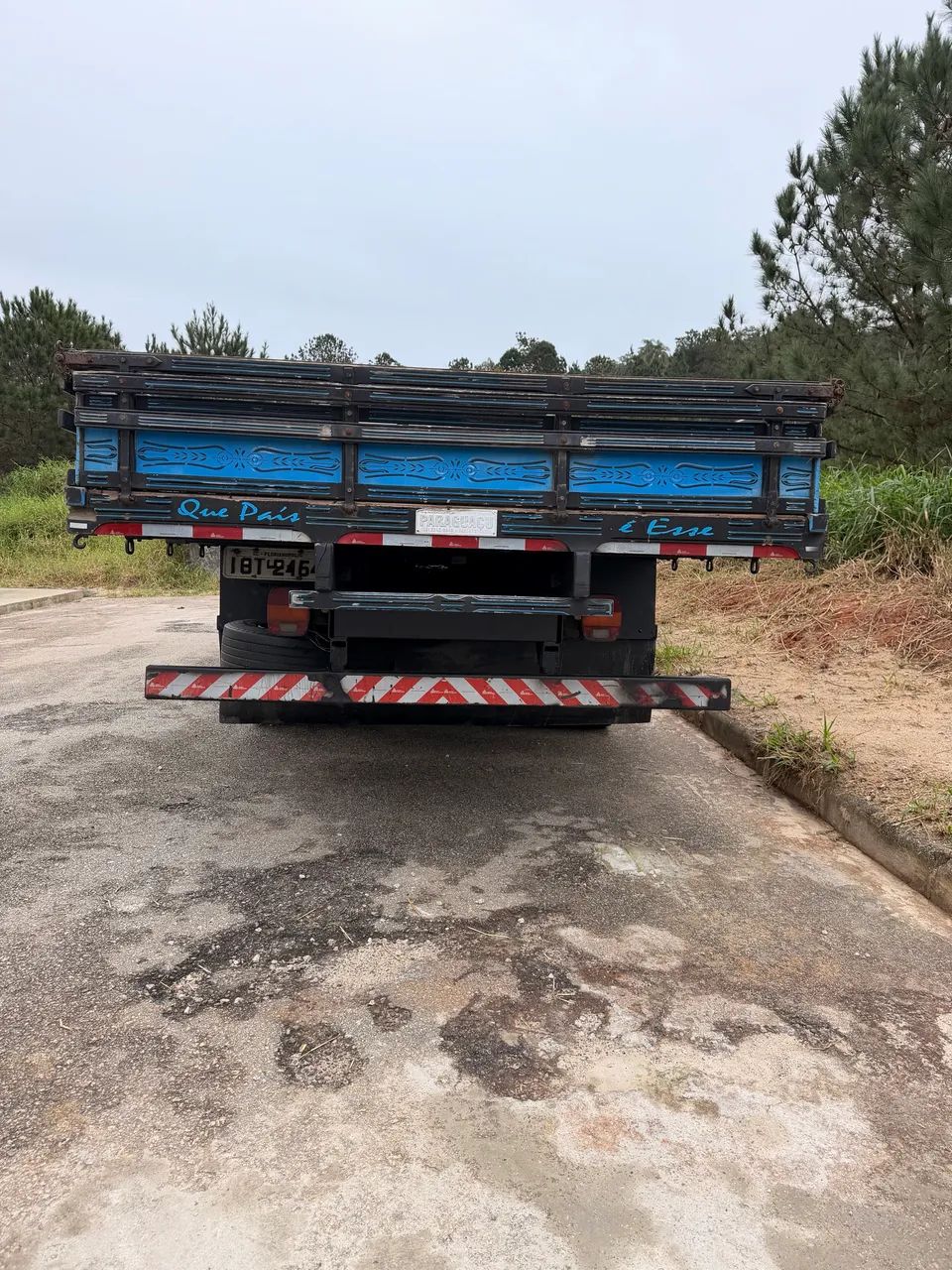 Cargo 815 2008 - Foto 3