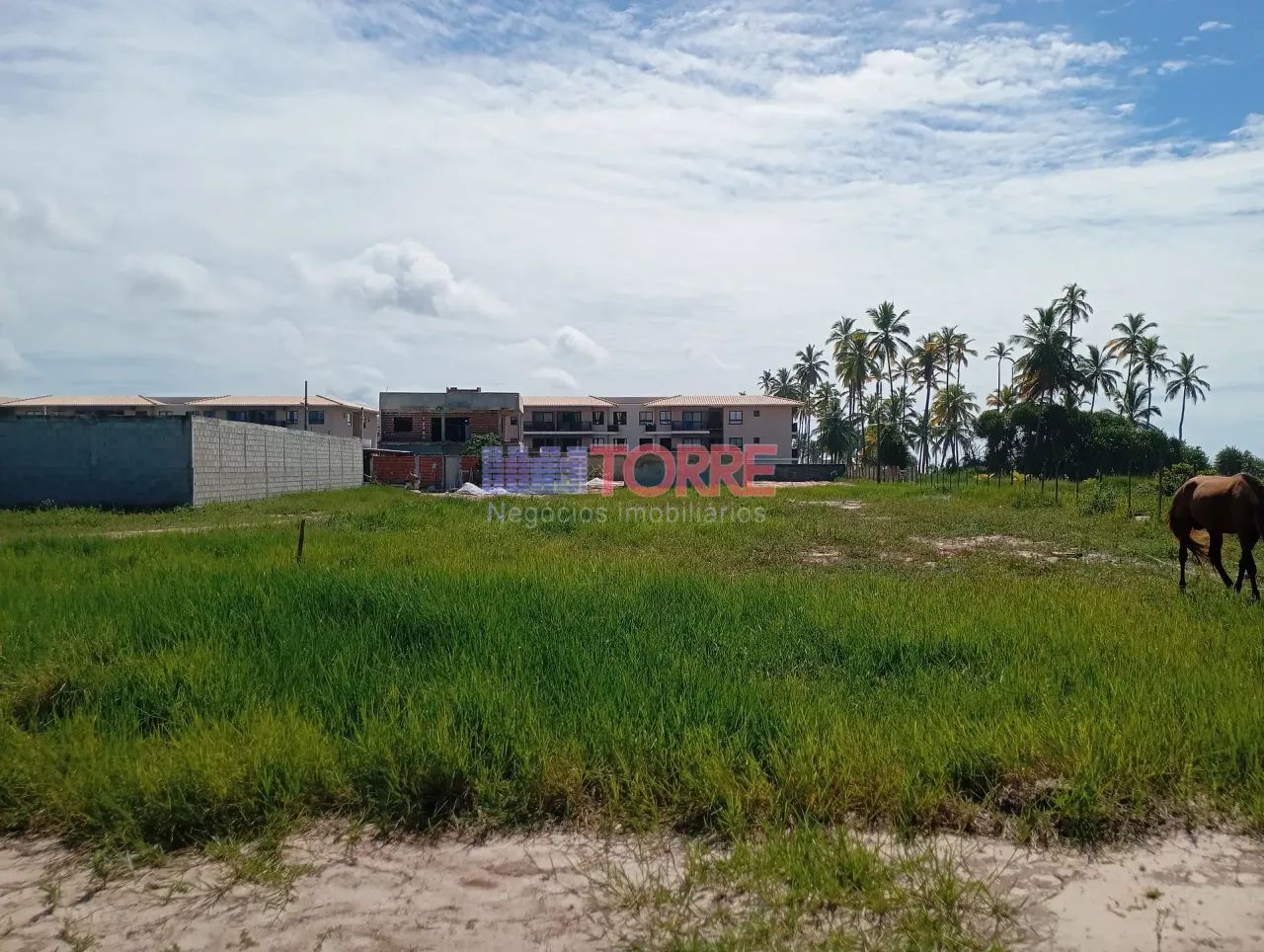 Terreno padrão à Venda, Centro, Ilhéus, BA - Foto 2