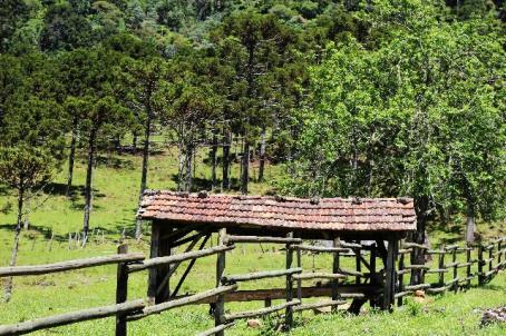 Urubici Sitio com 4 hectares frente para o Rio - Foto 14