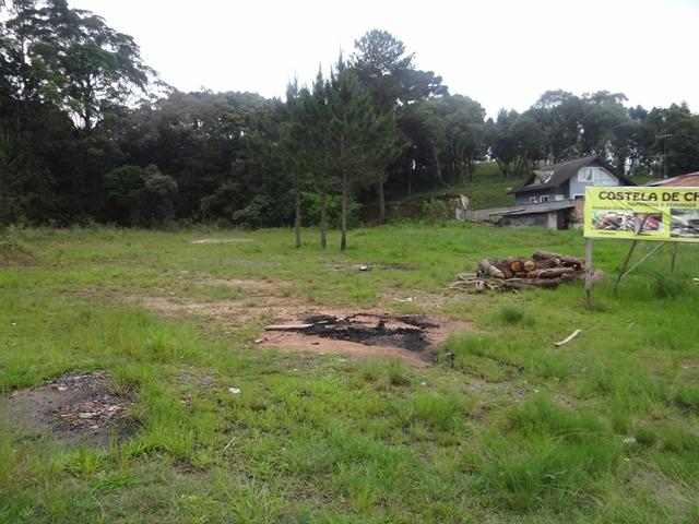 Terreno comercial plano na Ferraria - Campo Largo - Foto 6