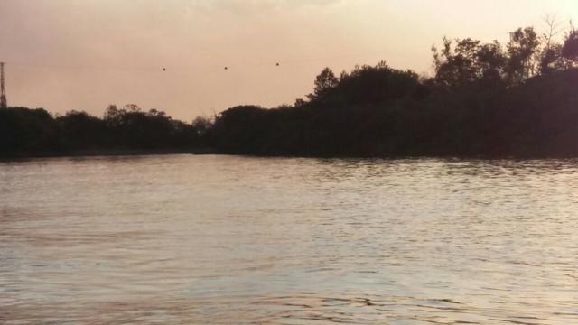 Vendo uma chácara de 2 hectares em barão, nas margem do pantanal! - Foto 6