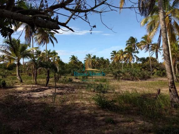 Terreno à venda, 1000 m² por r$ 90.000 - mogiquiçaba - belmonte/bahia - Foto 8
