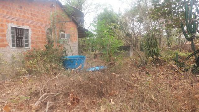 Chacara - Foto 16