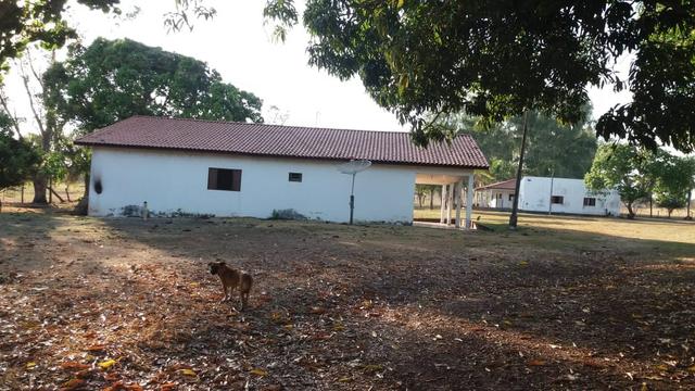 Fazenda 1.200 hectares á 20 km de Cuiabá - Foto 6