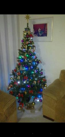 Arvore de Natal sem enfeites