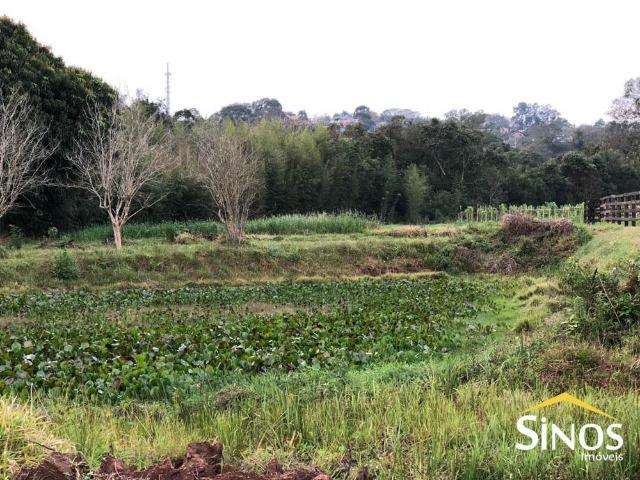 Área de terra próximo ao centro de Lomba Grande - Foto 2