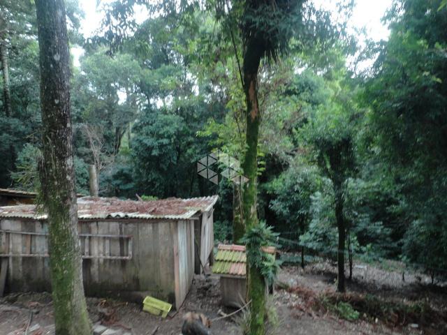 Terreno à venda em São francisco, Garibaldi cod:9904279 - Foto 7