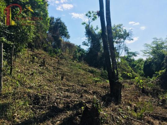 Sítio à venda em Ribeirão souto, Pomerode cod:1875 - Foto 11