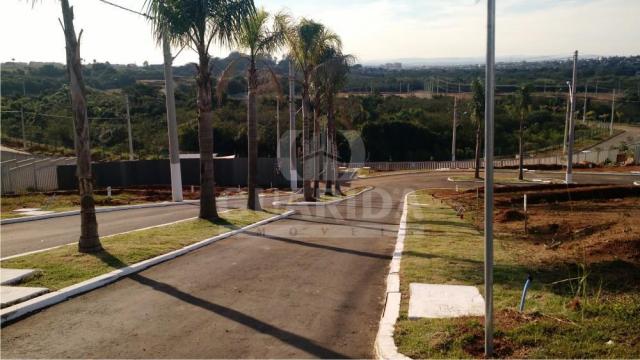 Terreno à venda em Protásio alves, Porto alegre cod:42525 - Foto 14