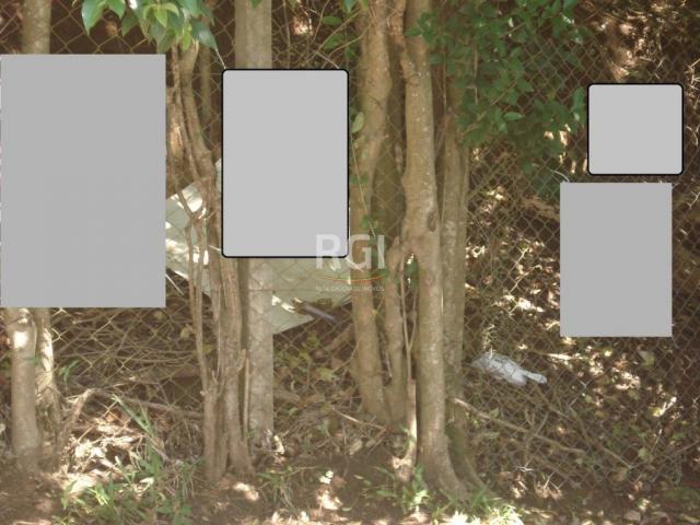 Terreno à venda em Três figueiras, Porto alegre cod:LI50877747 - Foto 5
