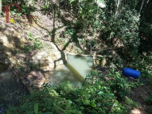 Sítio à venda em Ribeirão souto, Pomerode cod:1875 - Foto 13