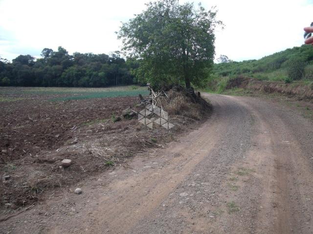 Chácara à venda em Interior, Garibaldi cod:9905726 - Foto 7