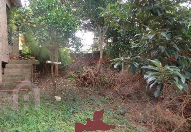 Terreno à venda em Pôr do sol, Caxias do sul cod:2242 - Foto 3