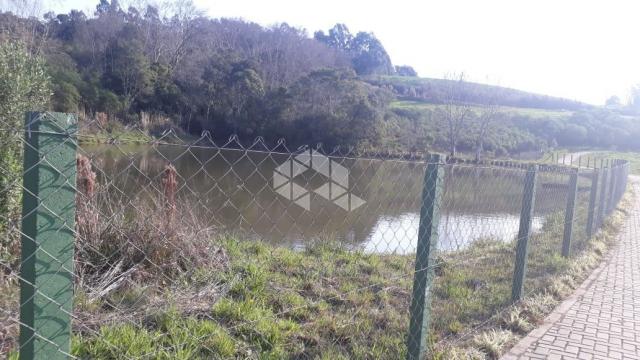 Terreno à venda em Borguetto, Garibaldi cod:9909319 - Foto 7