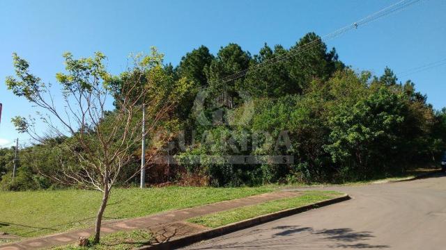 Casa à venda com 2 dormitórios em Guarujá, Porto alegre cod:151090 - Foto 12