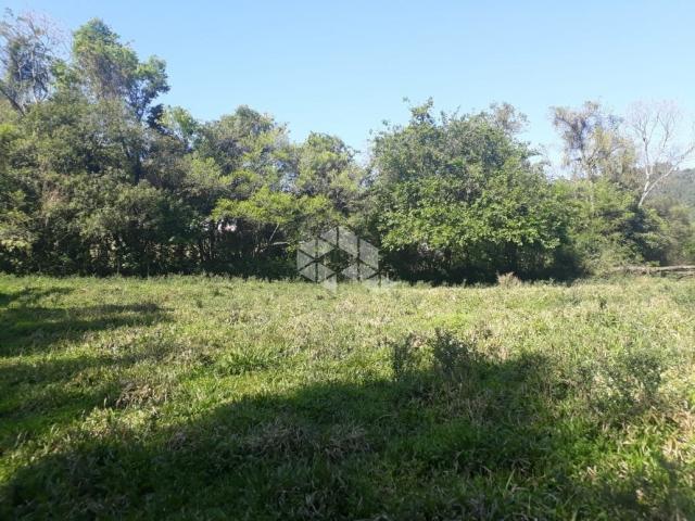 Chácara à venda em São luiz de castro, Boa vista do sul cod:9912945 - Foto 12