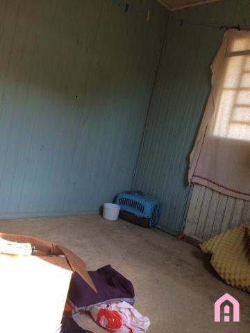 Casa à venda com 5 dormitórios em Cidade nova, Caxias do sul cod:2871 - Foto 5