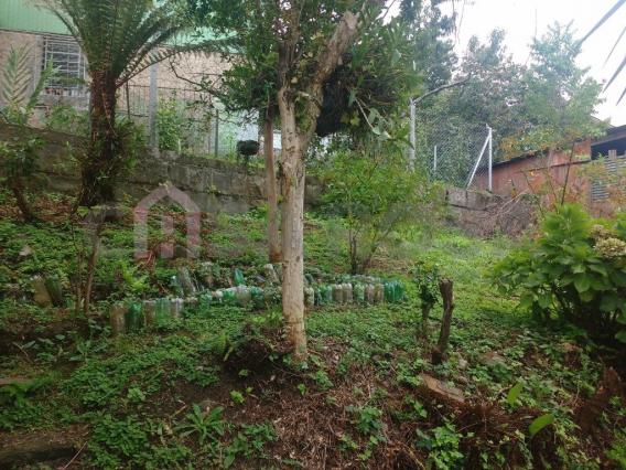 Casa à venda com 5 dormitórios em Bela vista, Caxias do sul cod:936 - Foto 2