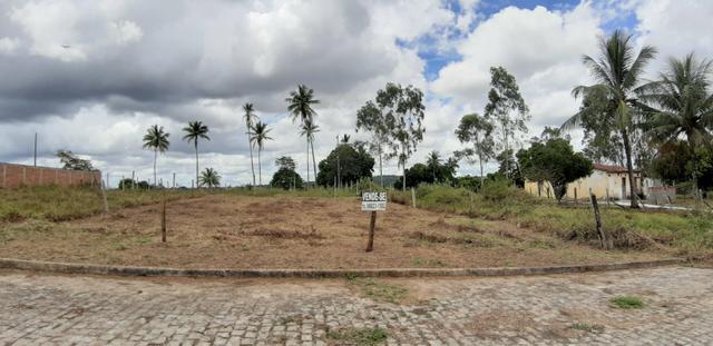 Terrenos lot. maria eduarda - Foto 3