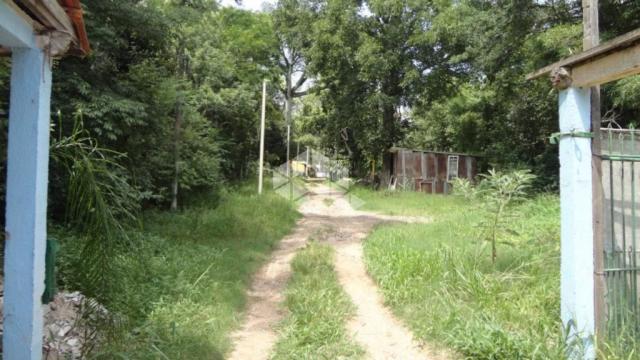 Terreno à venda em Protásio alves, Porto alegre cod:TE1366 - Foto 4