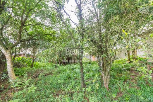 Terreno à venda em Pilarzinho, Curitiba cod:7571 - Foto 5