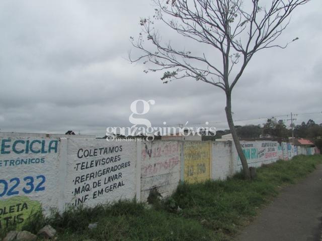 Terreno para alugar em Cajuru, Curitiba cod:14653001 - Foto 4