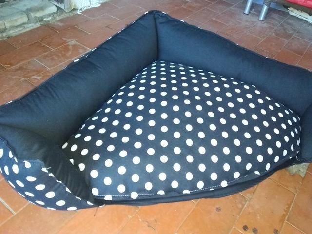 Caminha pra Cachorro - Foto 2