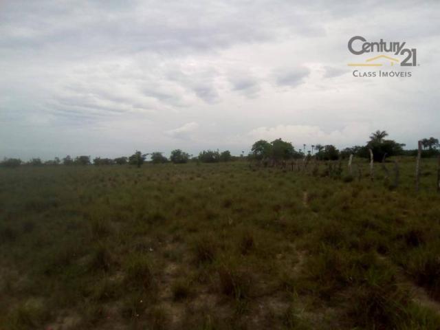 754 há em Barras Piauí - Foto 3