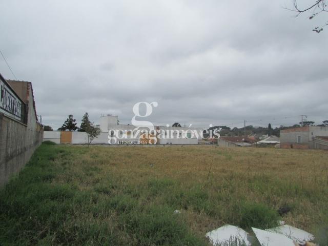 Terreno para alugar em Cajuru, Curitiba cod:14653001 - Foto 5