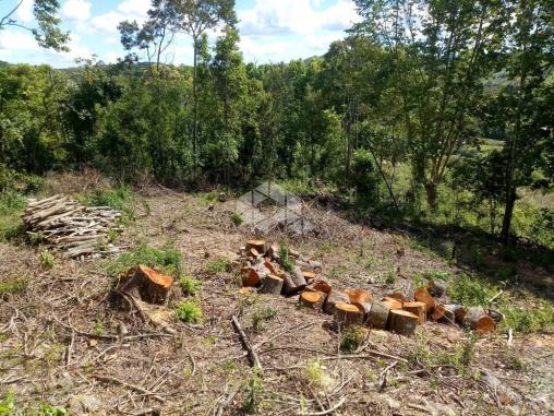 Terreno à venda em Vale dos vinhedos, Bento gonçalves cod:9889732 - Foto 13