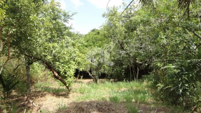 Terreno à venda em Protásio alves, Porto alegre cod:TE1366 - Foto 6