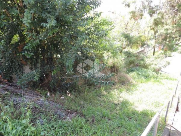 Terreno à venda em Chácara das pedras, Porto alegre cod:TE1389 - Foto 2