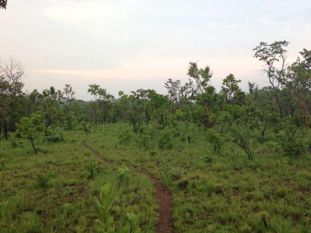 Fazenda Pedro Afonso-TO - Foto 8