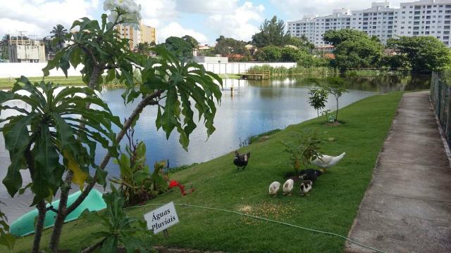 Aluga-se Apartamento no Reserva da Lagoa - Foto 6