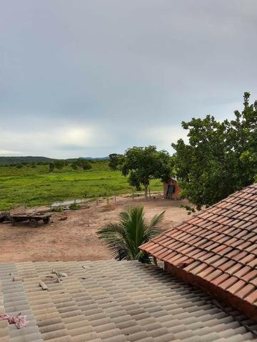 2.200 alqs Solo Argiloso Região De Chuva Palmeirópolis TO - Foto 19