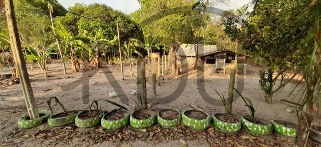 Chácara à venda, Zona Rural - Primavera do Leste/MT - Foto 16