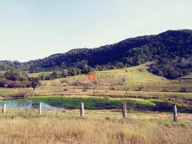 Sítio com 3 dormitórios à venda, 2000 m² por R$ 280.000 - Morungava - Gravataí/RS - Foto 7